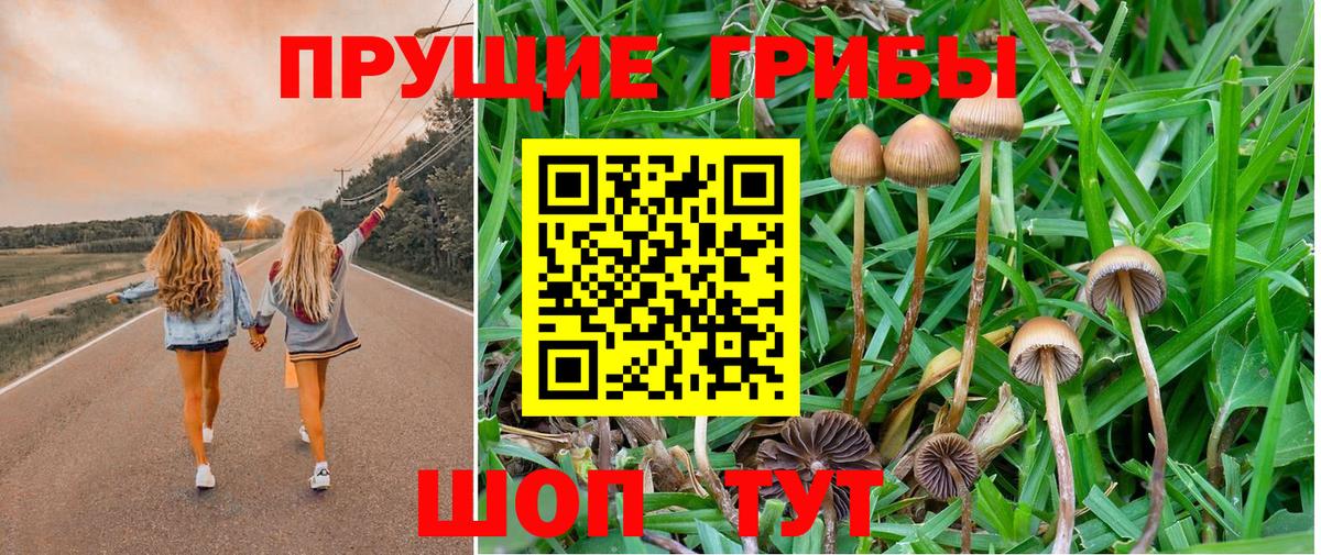 Белово  продажа наркотиков  Вход с VPN  Псилоцибиновые грибы прущие грибы 