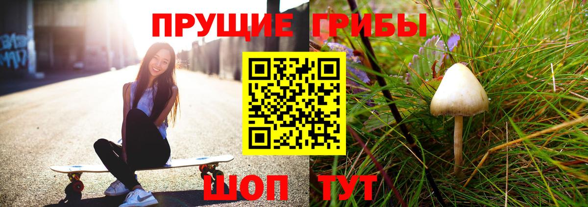 Галлюциногенные грибы Psilocybe Белово